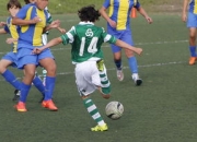 九游体育直播-瑞典逆转AC米兰，范佩西惊艳世界：足球场上的传奇一刻