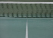 九游官网-韩国乒乓球队翻盘中国乒乓球队，马龙一己之力扛起全队