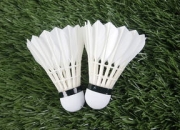 九游娱乐入口-印度羽毛球队绝杀丹麦羽毛球队，戴资颖高光表现