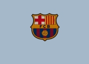 9you娱乐-卢卡库大场面先生本色尽显，伊朗补时险胜加拿大演绎世界杯残酷美学