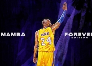 九游娱乐入口-森林狼压制广东队，布伦森成为关键先生