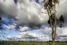 九游游戏-CLG碾压GEN，Tian制霸全场——电竞巅峰对决的传奇瞬间